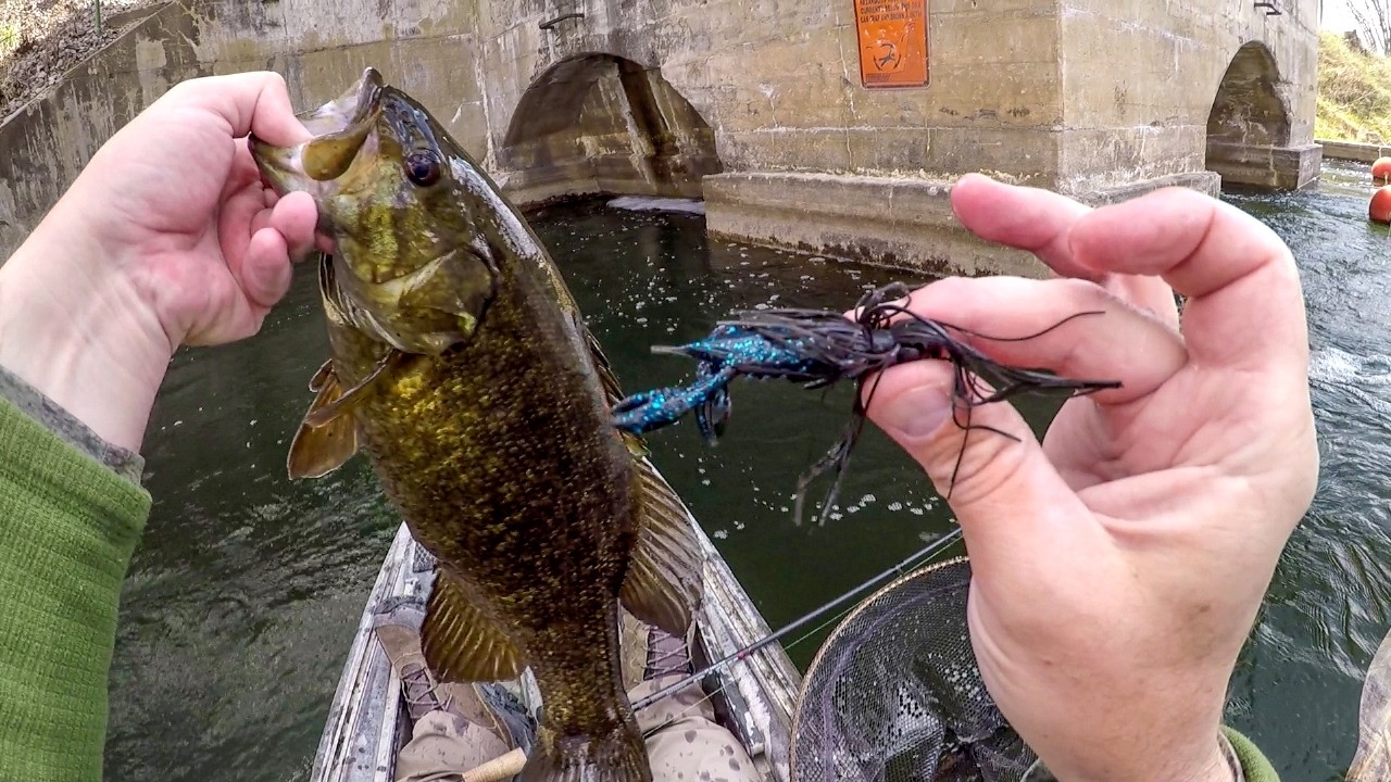 Bitsy Bug Jiggin' Some River Bass!