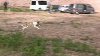 Aavatuulen Embedor 23.10.2022