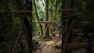 “From Jungle Dirt to Luxury Treehouse 🌿🏡 Unreal Build Transformation! #beforeandafter #satisfying