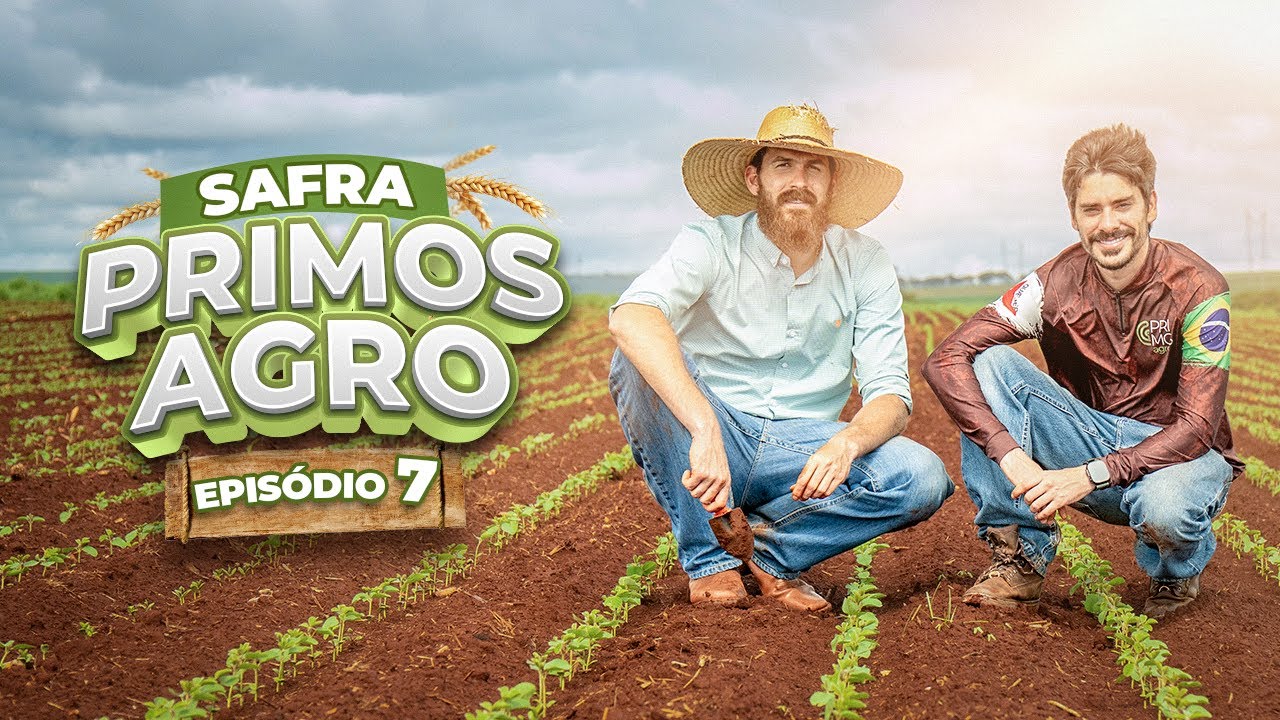 A SOJA NÃO RESISTIU... | SAFRA PRIMOS AGRO - EPISÓDIO 7