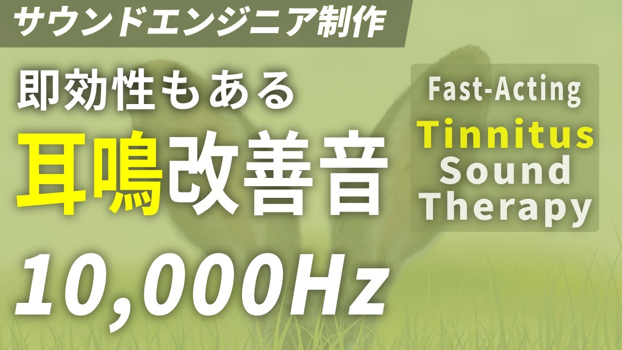 耳鳴り改善音 高音域 10,000Hz × ホワイトノイズ | 耳鳴り治療音