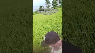 ojo gampang putus asa ingat ada target yang kita capai di hari2 esok