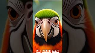 #viralvideo #cartoon #katalon #katon