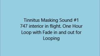 Tinnitus Masker #1 747 Interior by GPPYRO 1,104 views 7 years ago 1 hour