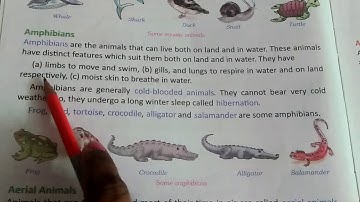 Class 4 Science Chapter 4 Adaptation in animals  Part II
