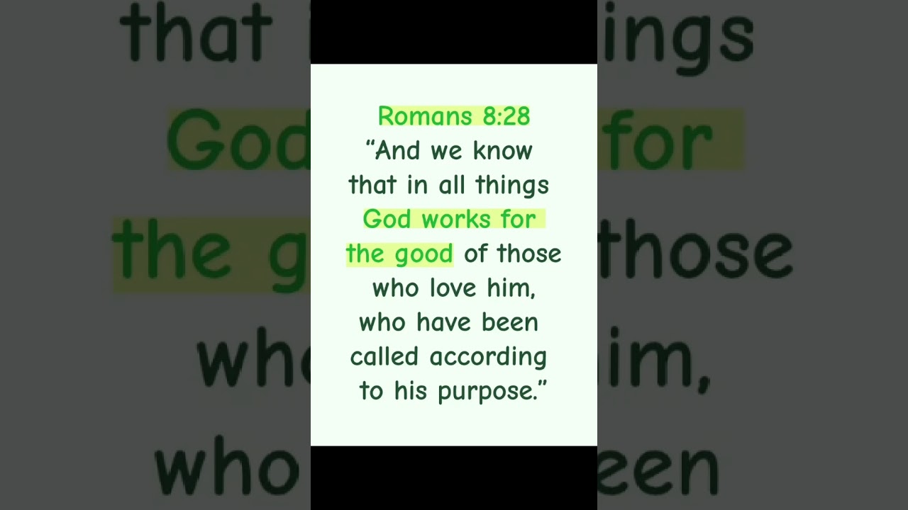 Scripture of the day ✝️🌟