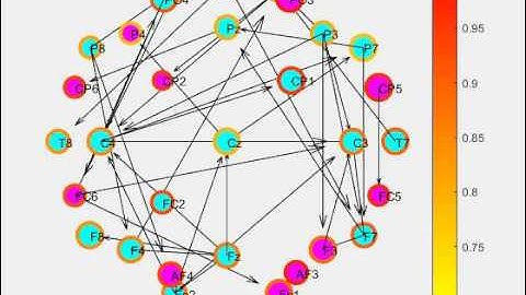 MOCO - Weighted Directed Graph of CNS/Brain Network; paced breathing condition