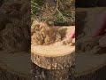 cutting a rope into fine pieces that will be used as fuel#creative#shortvideo