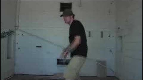 Conscious Collective - Insight