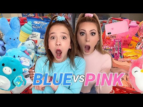 ULTIMATE PINK 💗 VS BLUE 💙 SHOPPING CHALLENGE!