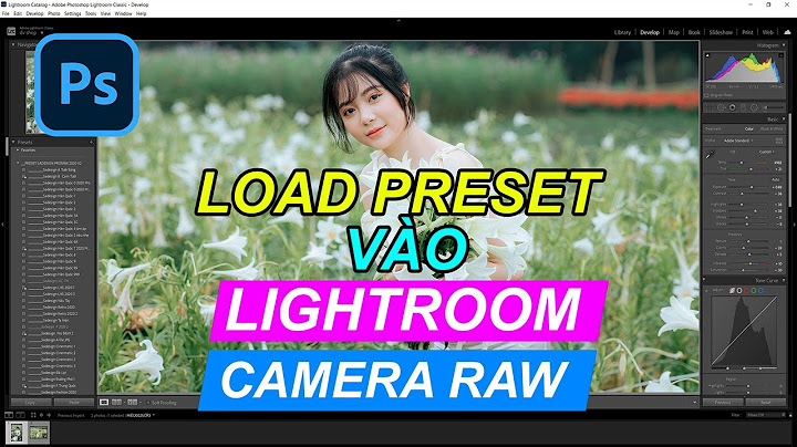 Hướng dẫn add màu png cho lightroom pc năm 2024