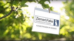 Hundetrainer Nrw Hundetrainer Nrw