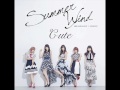 °C-ute - Summer Wind