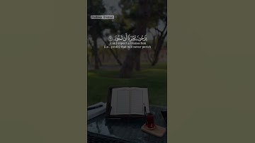 سورة فاطر #quran #قرآن #الغامدي #اسلام_صبحي #ماهر_المعيقلي #راحة_نفسية #اكسبلور #هزاع_البلوشي #ريلز