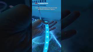 Have you ever seen a flexible strip light that can be used in water for a long time? (2025)#outdoors