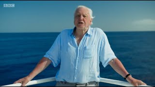Blue Planet II: Episode 7- Our Blue Planet Review