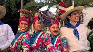 Agrigento Mandorlo in fiore 8 Marzo 2026