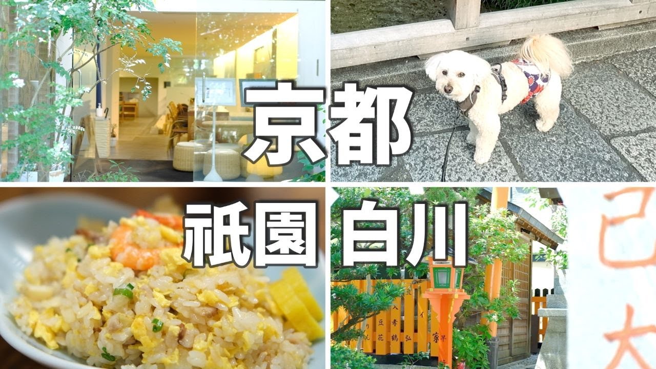 京都🥗街歩きとグルメ / 祇園白川筋を歩く、巽橋、辰巳大明神 / 京都旅行 京都観光 京都案内