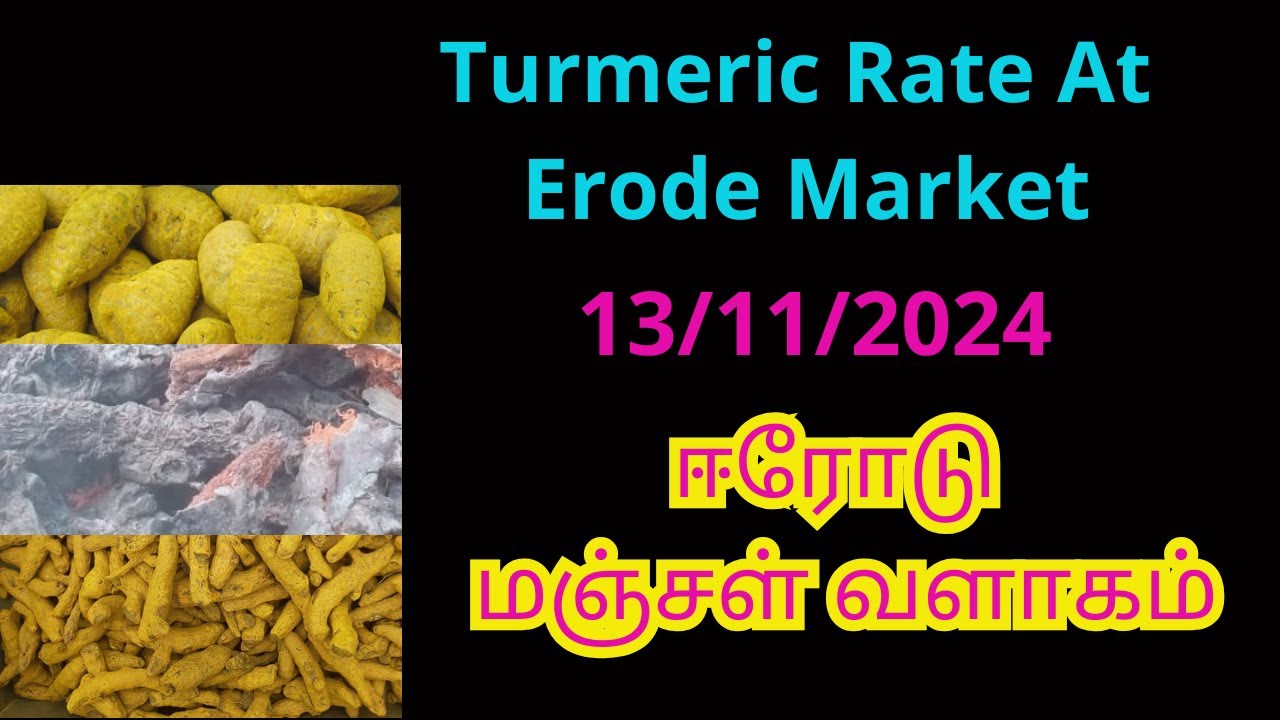 ஈரோடு மண்டியில் மஞ்சள் விலை | Today Turmeric Rate At Erode Market ...