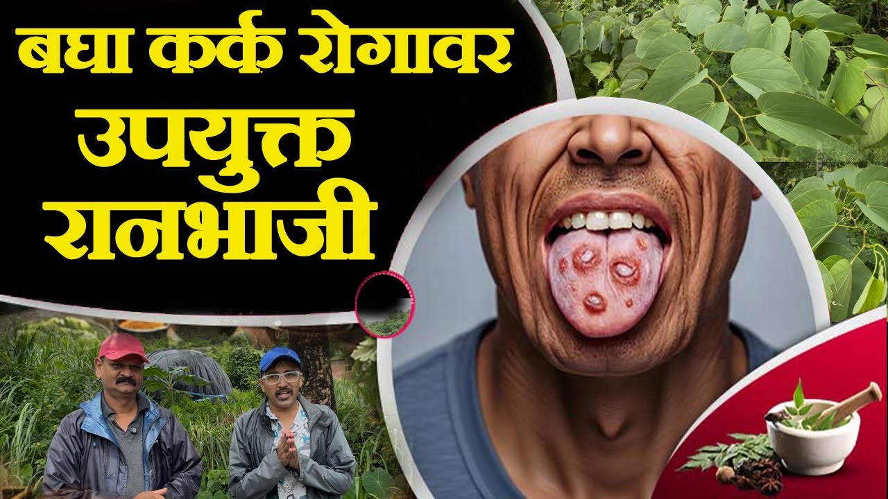 पावसाळी रानभाज्या पाहा💯☘️🍃 | kolhapur ranbhaji | रोगप्रतिकारशक्ती वाढविणारी पात्र ची भाजी |