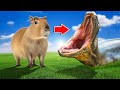Anaconda VS Capybara!