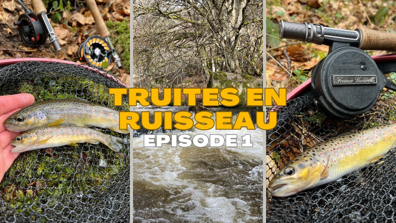 Bobine de pêche à la mouche légère, idéale pour les