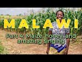 Malawi | Part 4: Maize, honey and amazing singing
