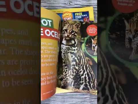 National Geographic Kids. Set of 18 journals. Обзор