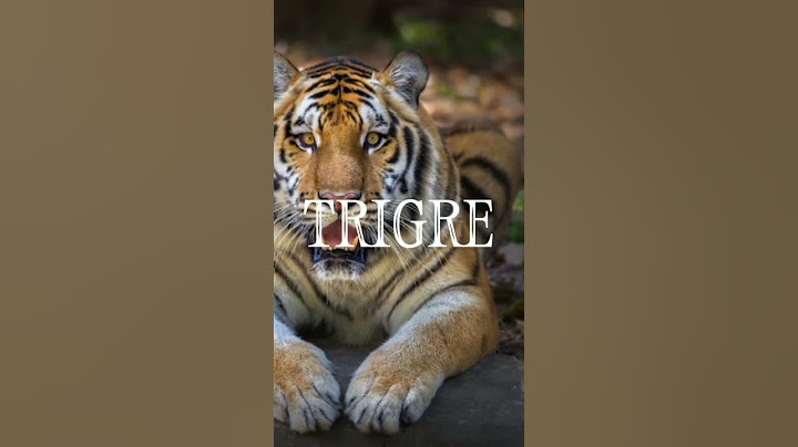 Os animais mais perigosos de cada país