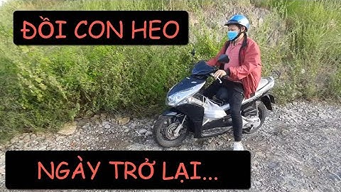 Đồi con heo Vũng Tàu, sau 4 năm trở lại / Pig hill in Vung Tau city, Viet nam ...[bao anh vlog]