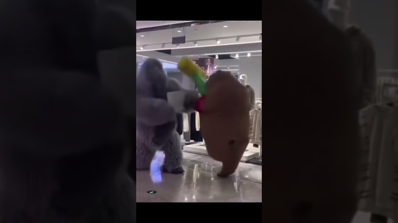Stuffed Animals Macots Fight in Asian Mall 
