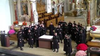Trinity Cathedral Choir Concert in Engelberg, Switzerland (Part 2)