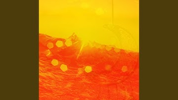 Simplistic Backdrops for Summertime