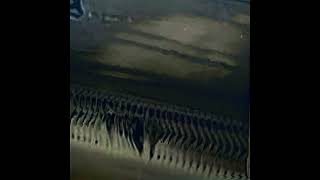 popbot - radiator dream recursion