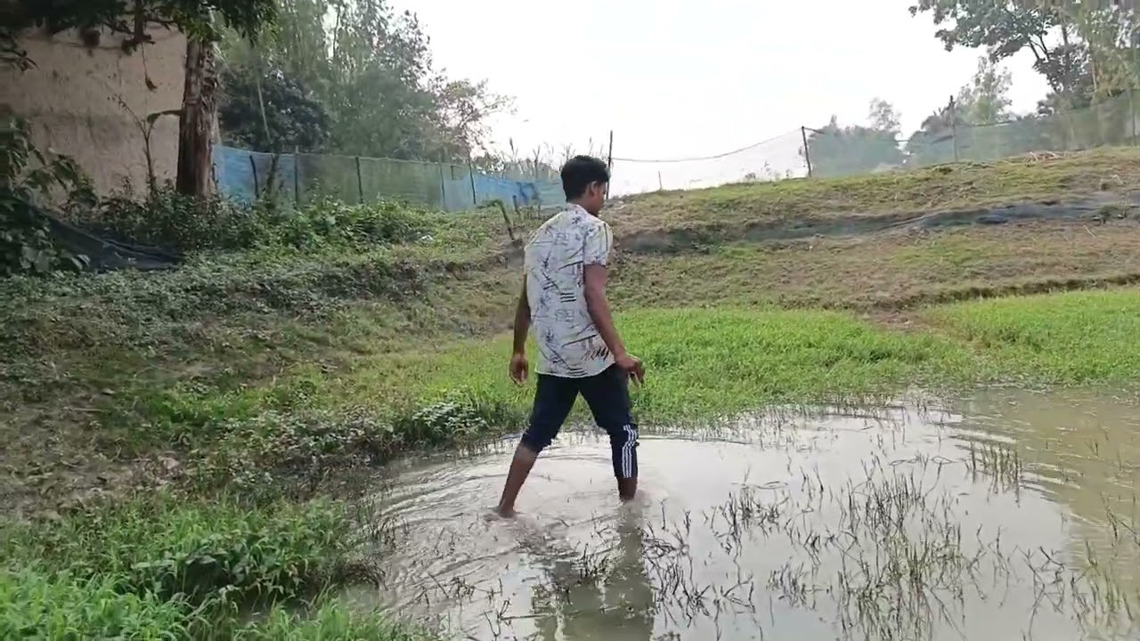 হঠাৎ করে মারা যাচ্ছে মাছ । 