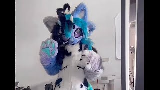 Meet Wikka! My First Kemono Fursuit