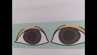 Mengenal Panca Indera