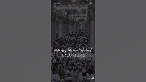 مقتطف من تلاوة فضيلة الشيخ #عبدالمحسن_القاسم من صلاة التراويح ليلة 28 رمضان 1446