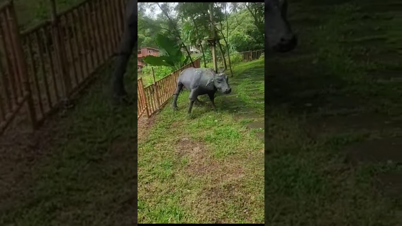 WHERE NATURE MEETS ADVENTURE! 😎