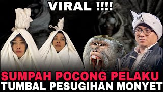 Download lagu SUMPAH POCONG PELAKU PESUGIHAN MONYET TUMBAL ANAK