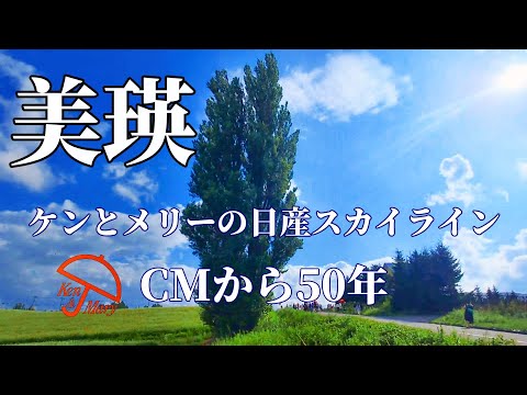 【美瑛】ケンとメリーの木1972年スカイラインCMロケ地