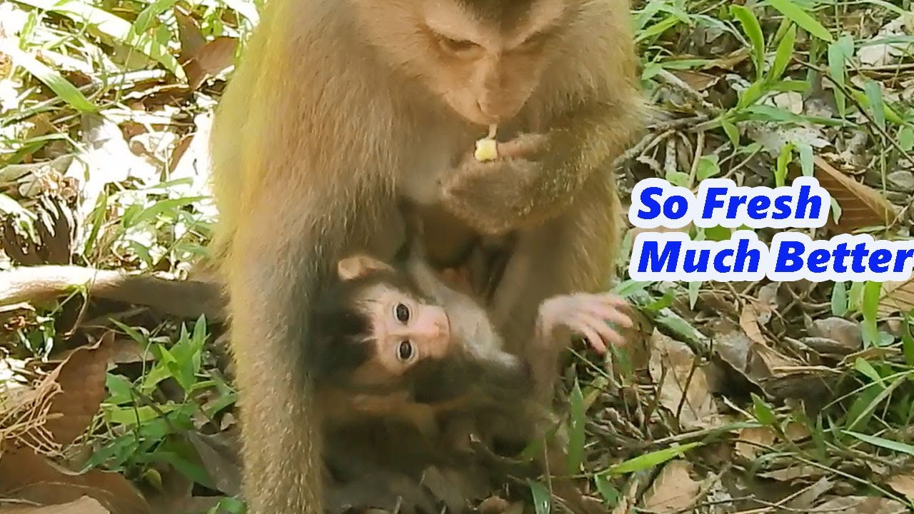 Congratulations!, Baby Rex Is Much Better, Strong & Healthy,Can Hug Mom Rose Firmly,  Happy To See