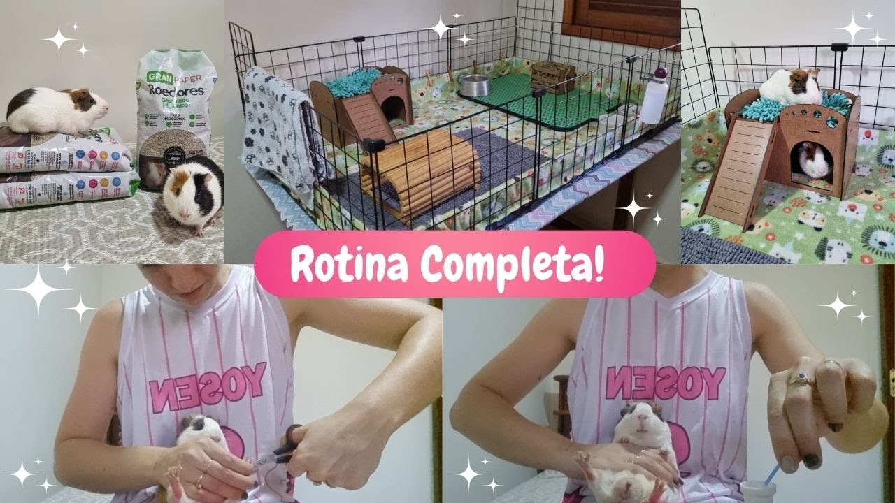 ROTINA COMPLETA: mudei o cercado, itens novos GAIOTEC, limpeza do saco perineal, corte de unhas, etc
