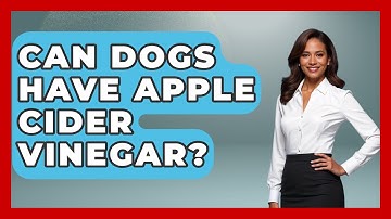 Can Dogs Have Apple Cider Vinegar? - Beverage Buff