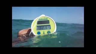 Fort Lauderdale Summer Sea Temperature
