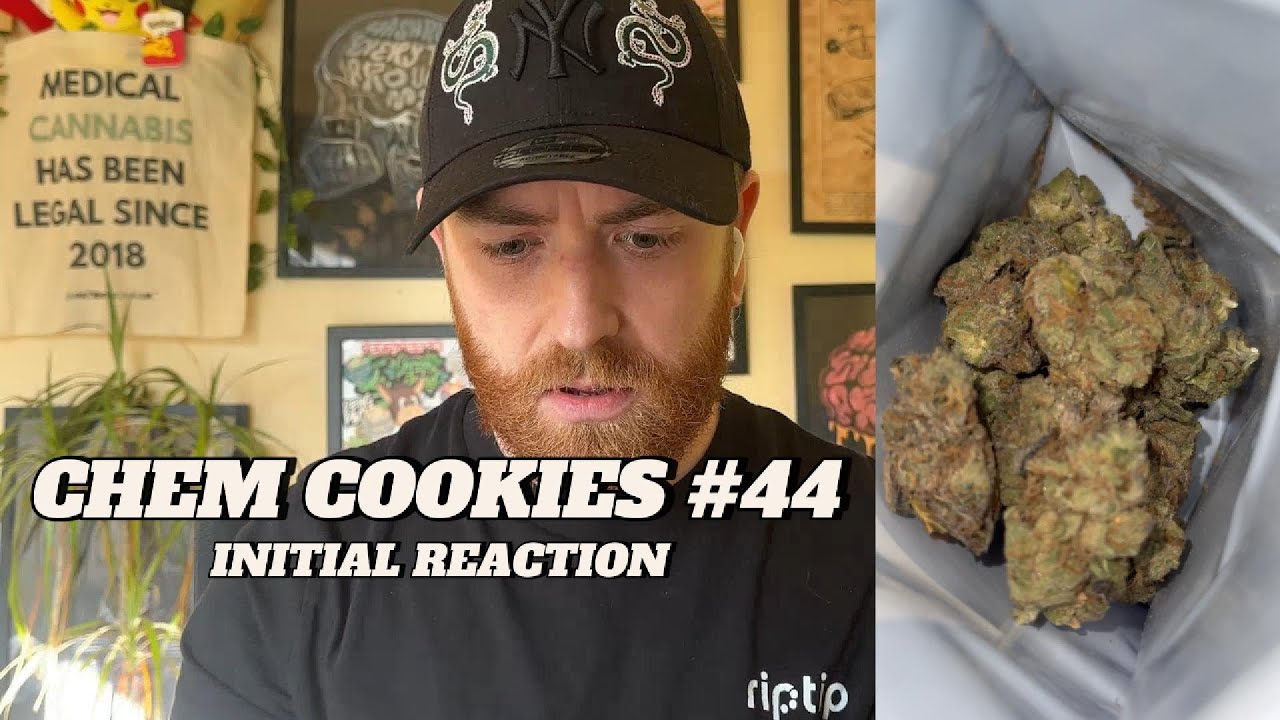 Химическое печенье №44 Начальная реакция