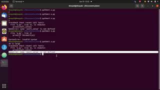 void function and non void function in python