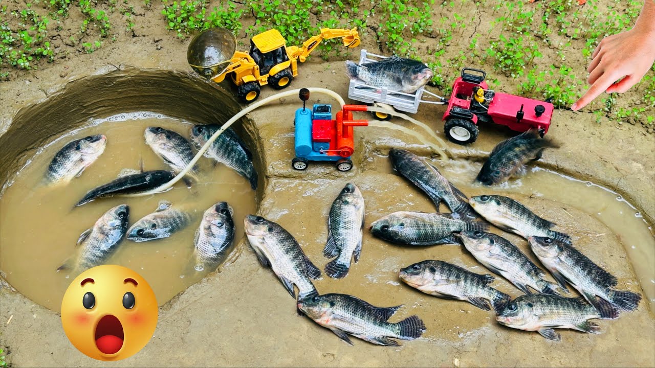 Catch fish using mini water pump for Pond | fishing exciting | diy tractor |@The Fish Creator