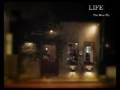 LIFE The Silver Fly
