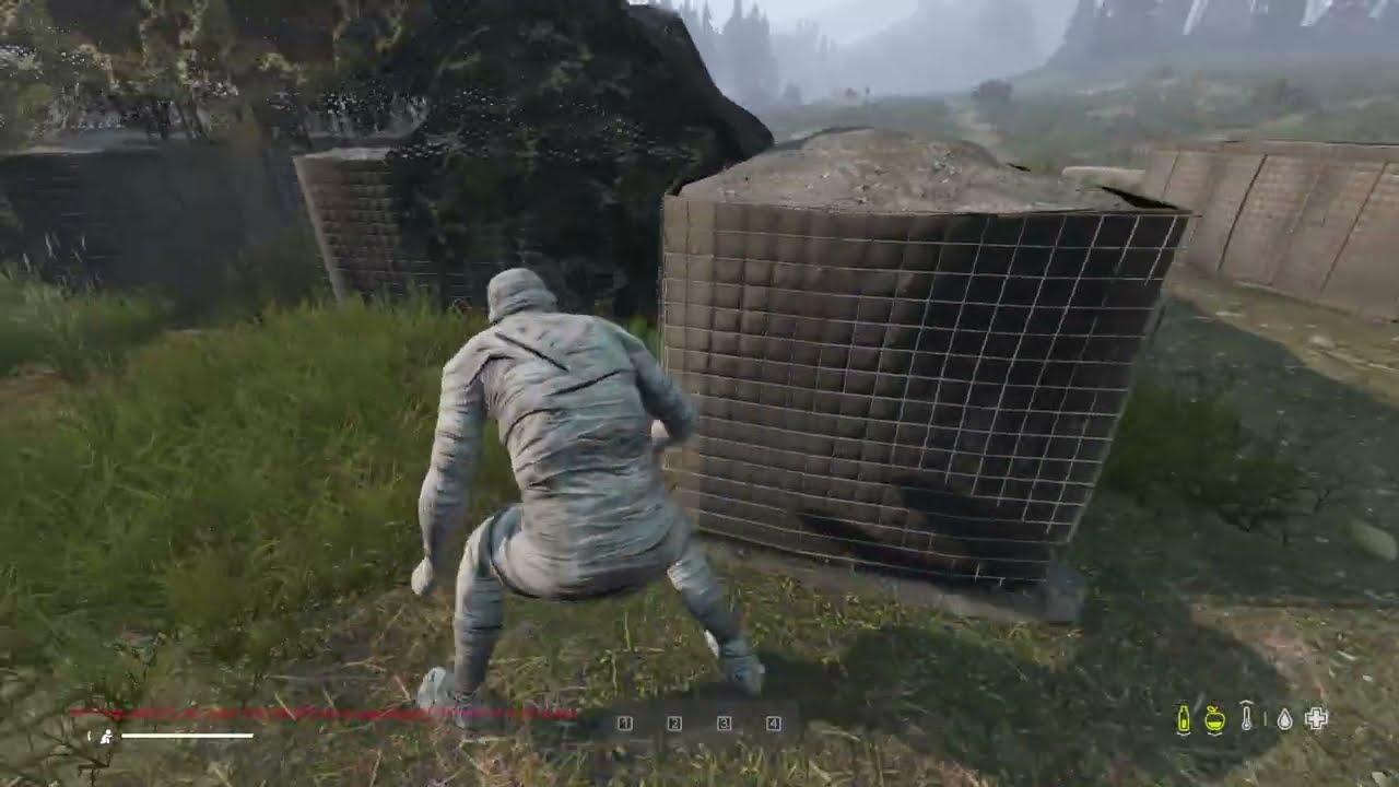 Average DayZ Experience